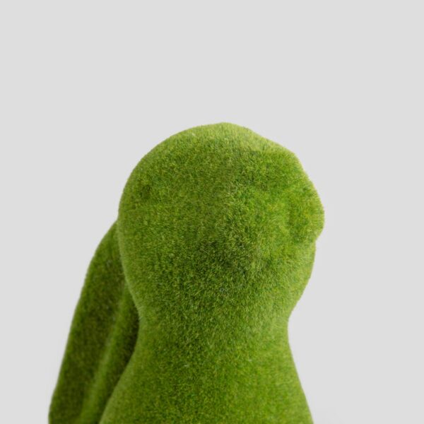 5906496725661_5 5906496725661_5