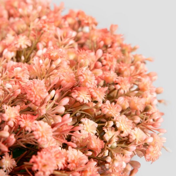 5906496740442_2 5906496740442_2