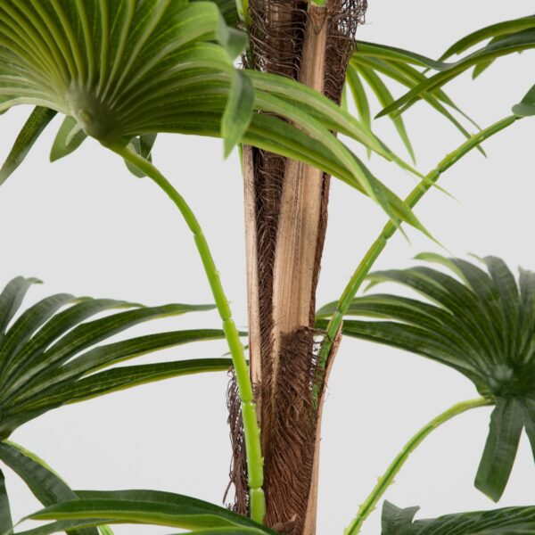 5906496740626_3 5906496740626_3