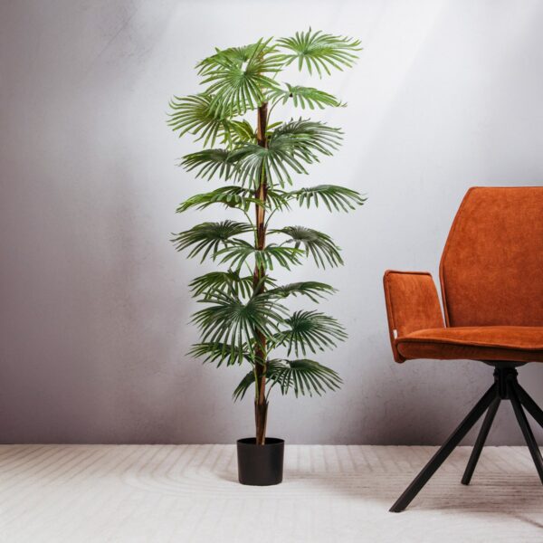 5906496740626_w 5906496740626_w