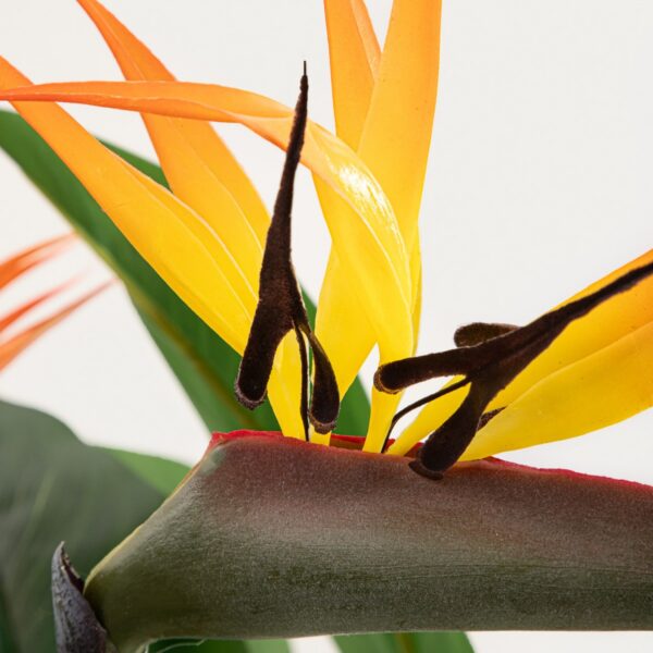 5906496764776_2 5906496764776_2