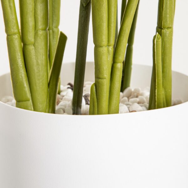 5906496764776_4 5906496764776_4