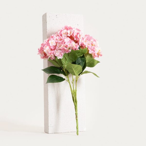 5906496764882_1 5906496764882_1