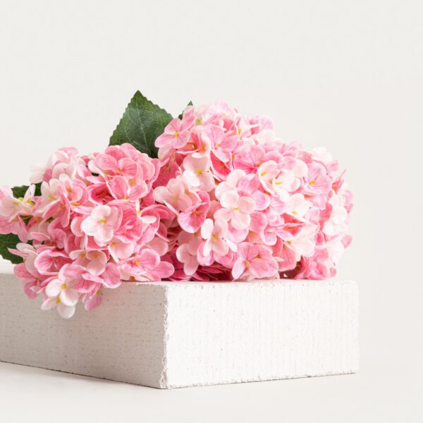 5906496764882_3 5906496764882_3