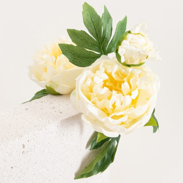 5906496764899_3 5906496764899_3