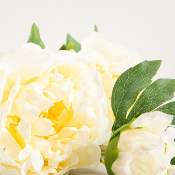 5906496764899_4 5906496764899_4