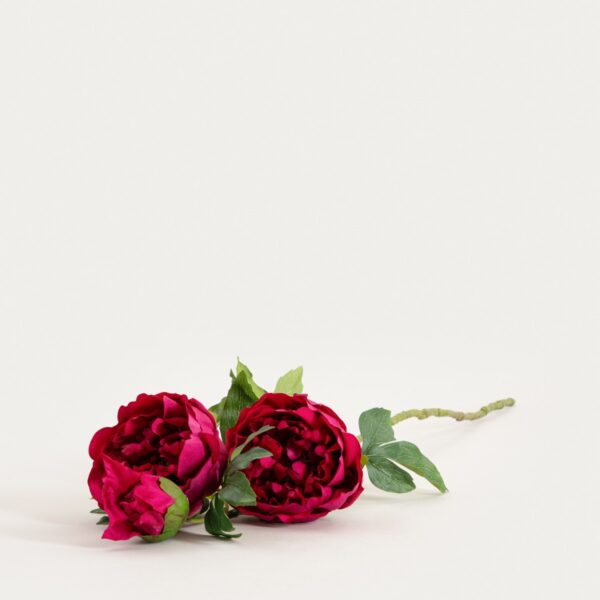 5906496764905_2 5906496764905_2