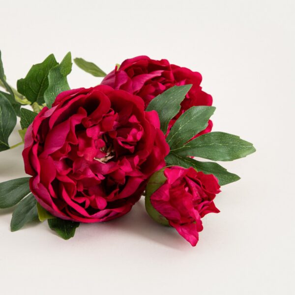 5906496764905_3 5906496764905_3