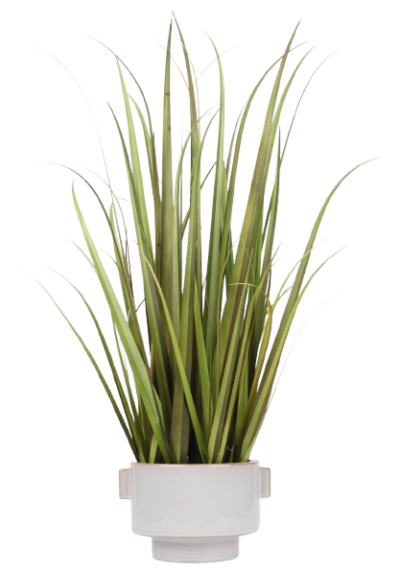 ARTIFICIAL PLANT /B2B | B2B/Grass | Grass |  | 721854