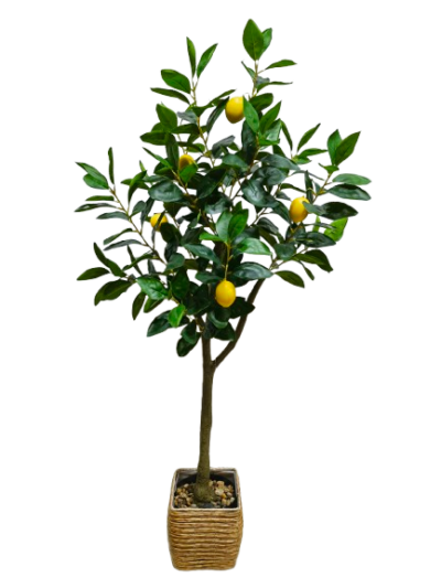 ARTIFICIAL PLANT /B2B | B2B/lemon tree | Lemon tree |  | 721809