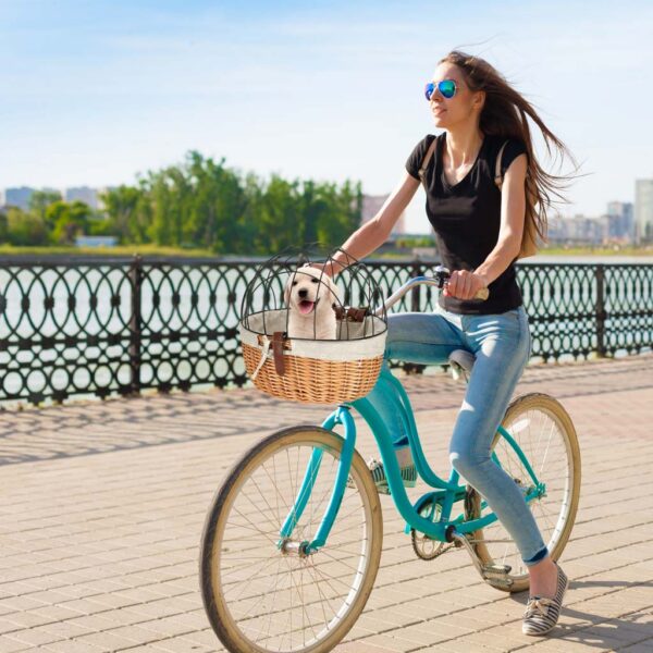 Koszyk-wiklinowy-na-rower-z-kratka-metalowa-transporter-dla-kota-psa-158288 Koszyk-wiklinowy-na-rower-z-kratka-metalowa-transporter-dla-kota-psa-158288