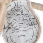 Lalka-maskotka-nauka-anatomii-chlopiec-178700