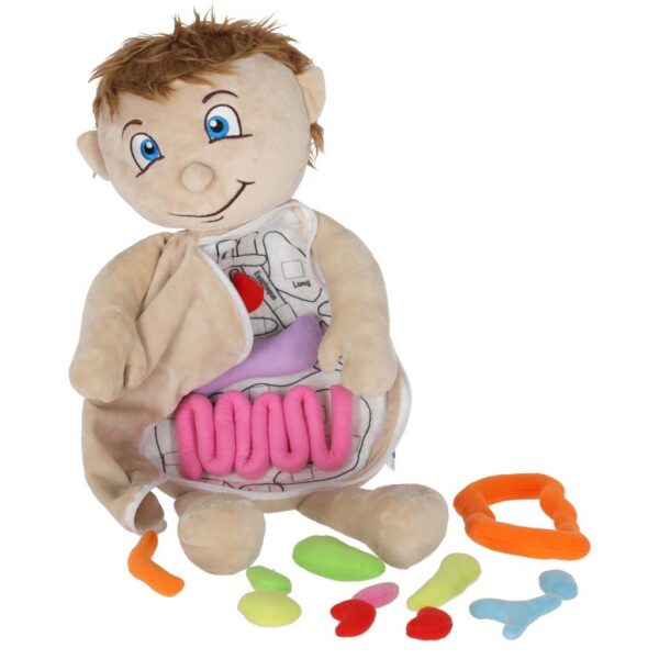 Lalka-maskotka-nauka-anatomii-chlopiec-178701 Lalka-maskotka-nauka-anatomii-chlopiec-178701