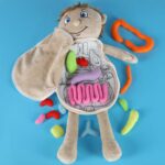 Lalka-maskotka-nauka-anatomii-chlopiec-178702