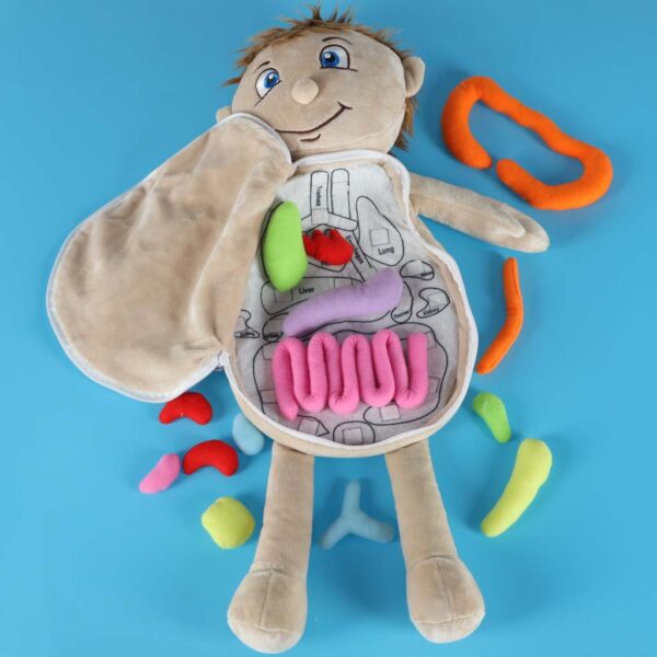 Lalka-maskotka-nauka-anatomii-chlopiec-178702 Lalka-maskotka-nauka-anatomii-chlopiec-178702