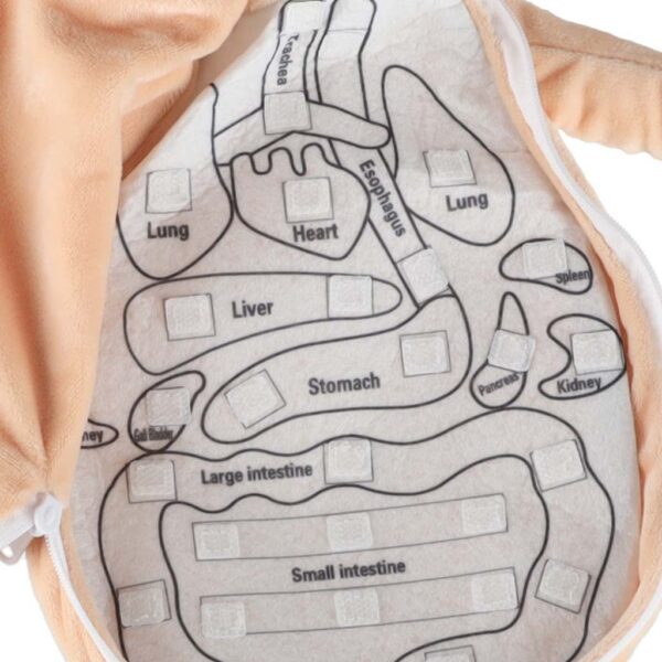 Lalka-maskotka-nauka-anatomii-dziewczynka-178712 Lalka-maskotka-nauka-anatomii-dziewczynka-178712