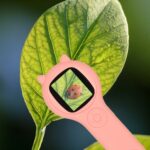 Mikroskop-optyczny-lupa-cyfrowa-500x-2Mpx-rozowy-171909