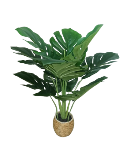 ARTIFICIAL PLANT /B2B | B2B/Monstera | Monstera |  | 721823
