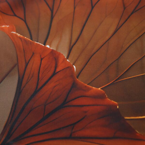 posciel-satyna-bawelniana-12407-140x200-1posz-70x9 posciel-satyna-bawelniana-12407-140x200-1posz-70x9