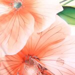 posciel-satyna-bawelniana-12422-140x200-1posz-70x8