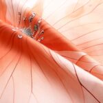 posciel-satyna-bawelniana-12422-220x200-satynlove