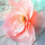 posciel-satyna-bawelniana-12424-220x200-satynlove