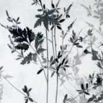 posciel-satyna-bawelniana-1558-1-140x200-1posz-70x