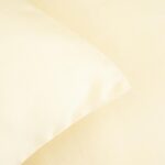 ___purein___01F6A5C3-98D8-71CF-1A45-B7417E62BC11