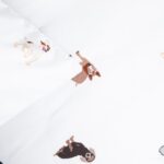 ___purein___83F3DB60-45AA-9EDA-19AF-3D0BD9701456