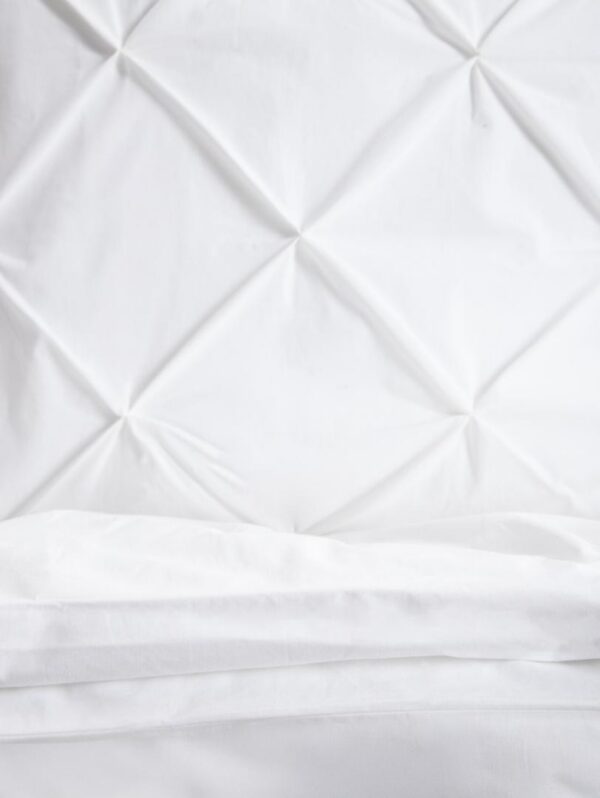 ___purein___A01467CA-875B-9AC2-5A13-A999770856EB