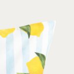 ___purein___F91D58E1-2832-15DE-C53F-35F9CE830CFC