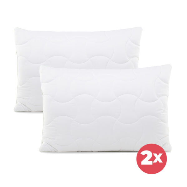 22385_02_2xpillow_aloe_vera_climafill-web