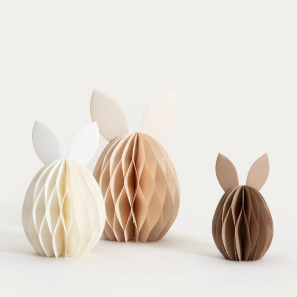 5906496764134_1 5906496764134_1