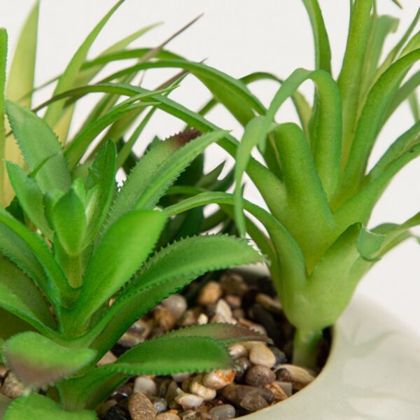 5906496764868_2 5906496764868_2