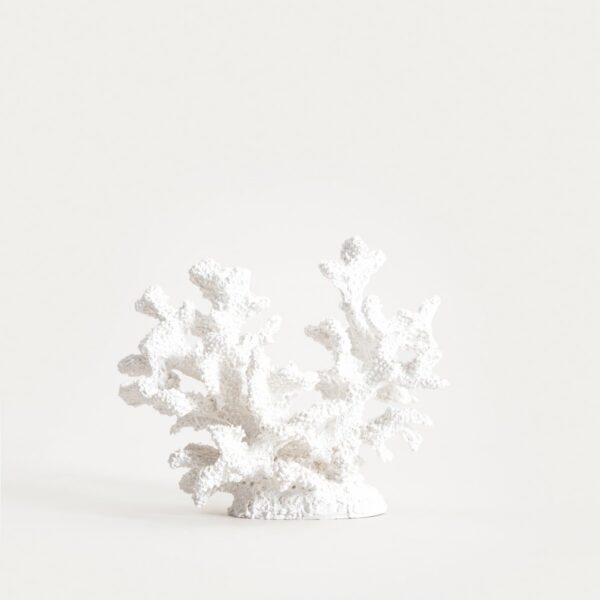 5906496772252_1 5906496772252_1