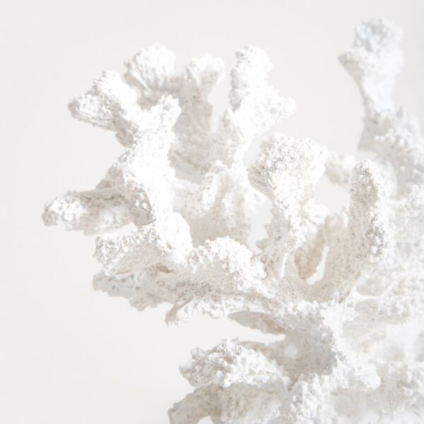 5906496772252_3 5906496772252_3