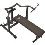 export