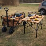 Wozek-transportowy-LUARO-plazowy-skladany-ze-stolikiem-2w1-184494