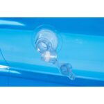 export