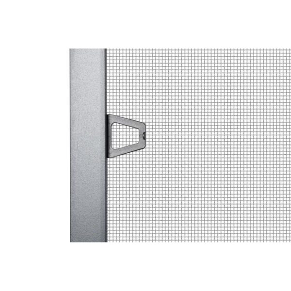 export export