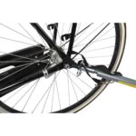export