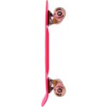 export