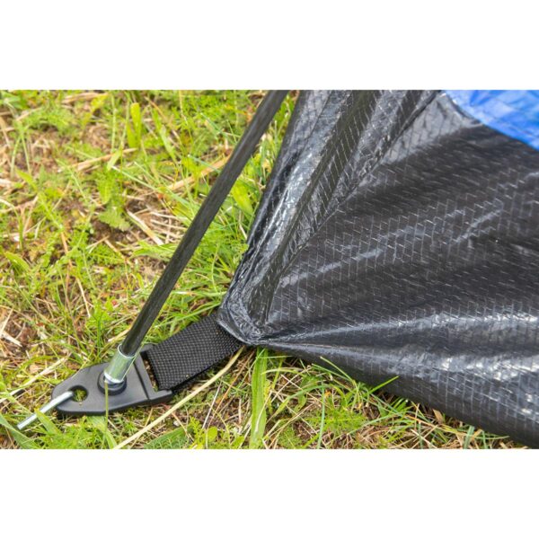 export export