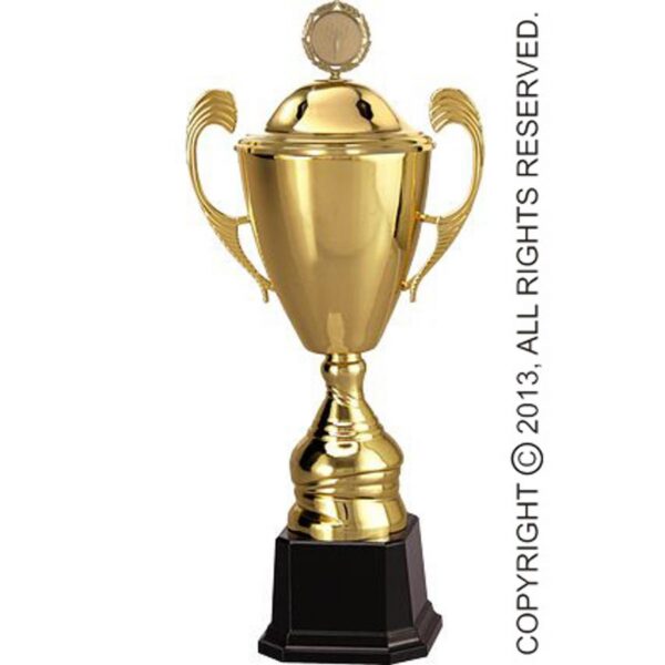 export export