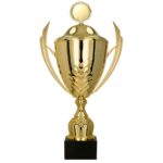 export