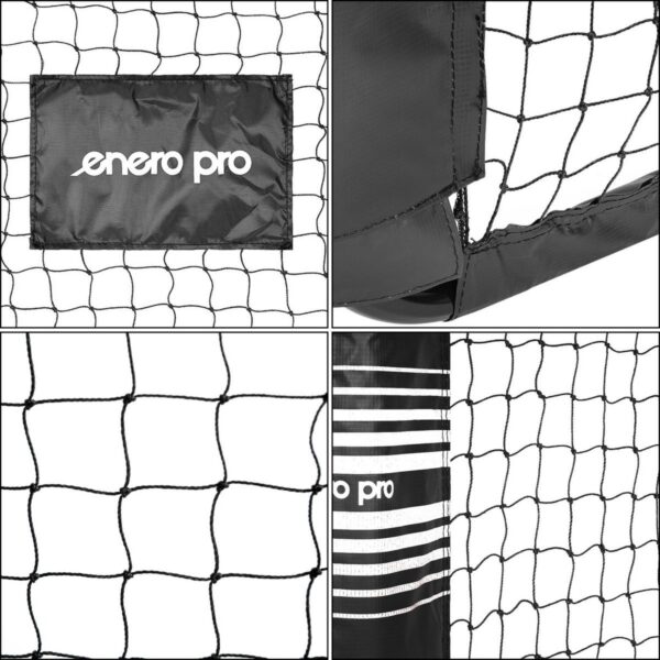 export export